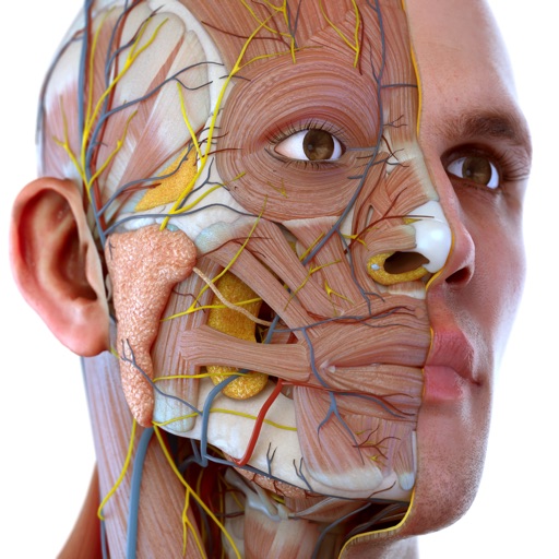 Visual Anatomy 3d Human Body