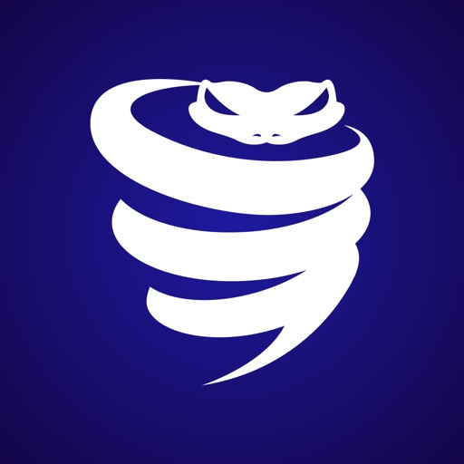 Vyprvpn Vpn Secure Private